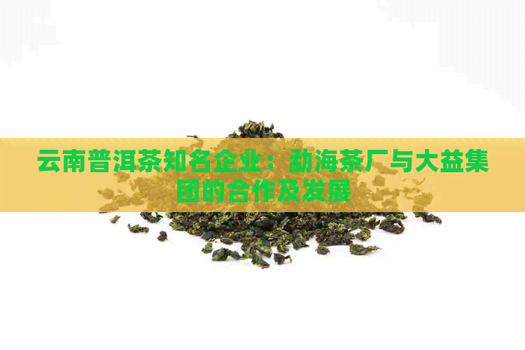 云南普洱茶知名企业：勐海茶厂与大益集团的合作及发展