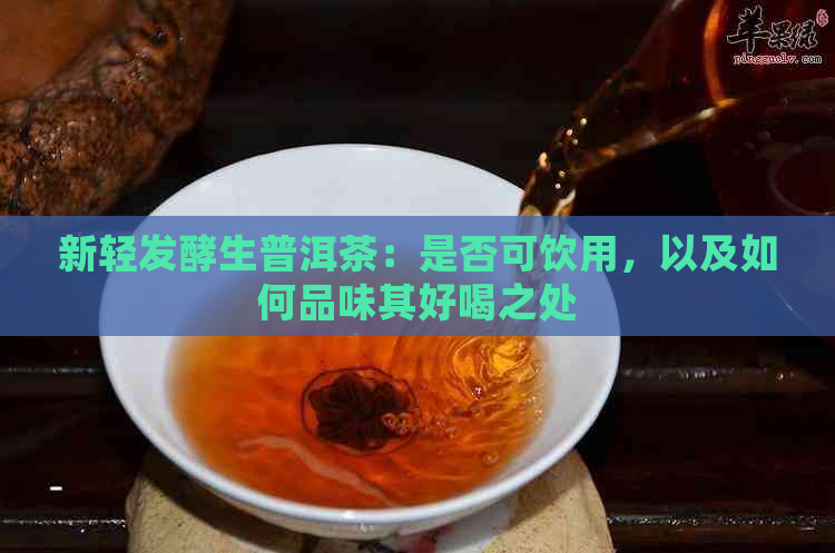 新轻发酵生普洱茶：是否可饮用，以及如何品味其好喝之处