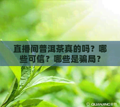 直播间普洱茶真的吗？哪些可信？哪些是骗局？