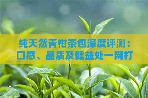 纯天然青柑茶包深度评测：口感、品质及健益处一网打尽