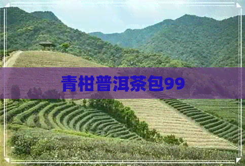 青柑普洱茶包99