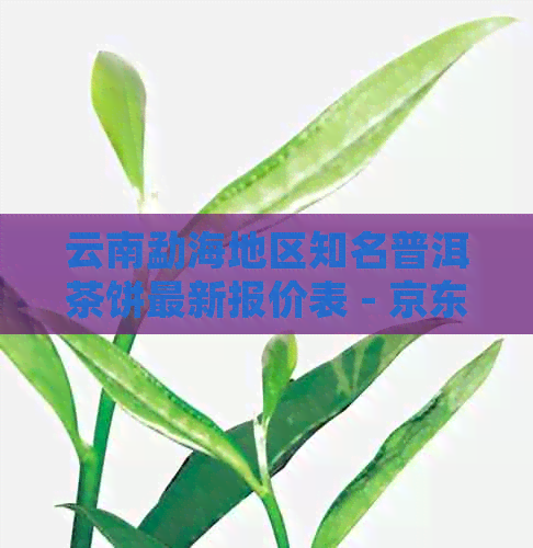 云南勐海地区知名普洱茶饼最新报价表 - 京东大益七子饼茶茶叶批发价格