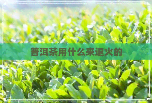 普洱茶用什么来退火的