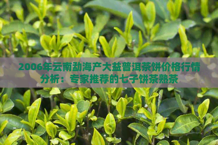 2006年云南勐海产大益普洱茶饼价格行情分析：专家推荐的七子饼茶熟茶