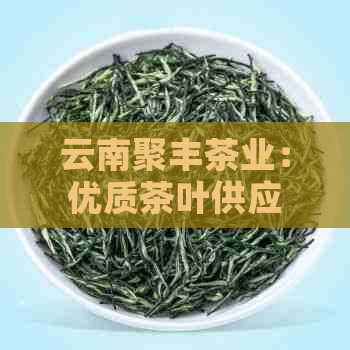 云南聚丰茶业：优质茶叶供应商，为您提供全方位的茶类产品与服务