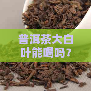 普洱茶大白叶能喝吗？普洱大白芽是什么茶叶？普洱大白芽的功效和作用。
