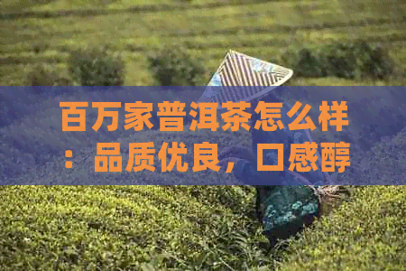 百万家普洱茶怎么样：品质优良，口感醇厚，值得尝试！