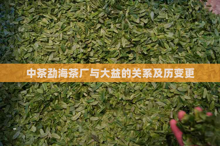 中茶勐海茶厂与大益的关系及历变更