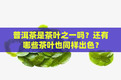 普洱茶是茶叶之一吗？还有哪些茶叶也同样出色？