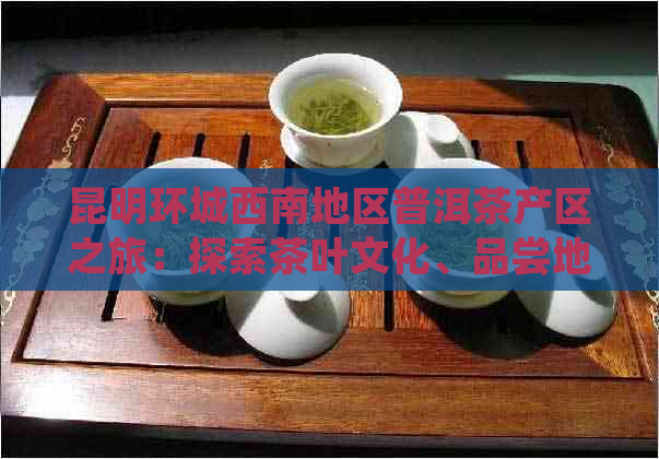 昆明环城西南地区普洱茶产区之旅：探索茶叶文化、品尝地道茶品及购买攻略