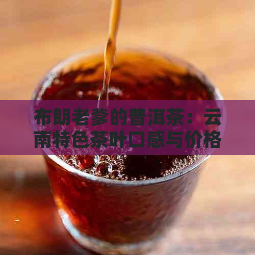 布朗老爹的普洱茶：云南特色茶叶口感与价格解析