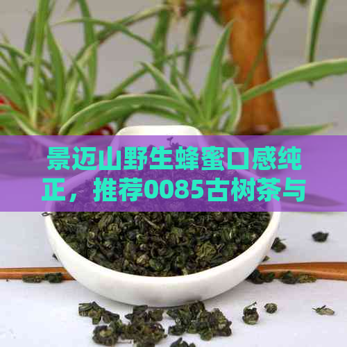景迈山野生蜂蜜口感纯正，推荐0085古树茶与蜜香茶叶，体验云南生态茶文化