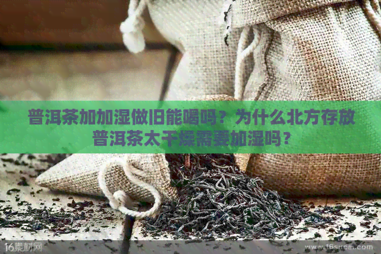 普洱茶加加湿做旧能喝吗？为什么北方存放普洱茶太干燥需要加湿吗？