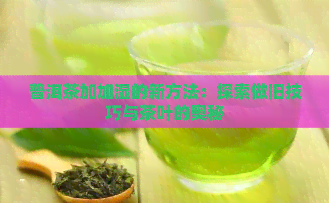 普洱茶加加湿的新方法：探索做旧技巧与茶叶的奥秘