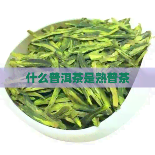 什么普洱茶是熟普茶