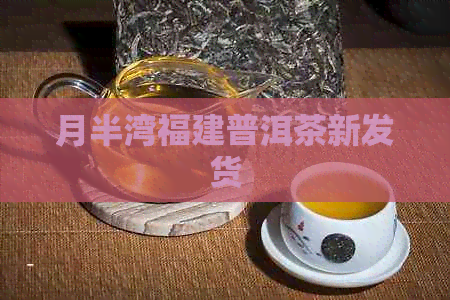 月半湾福建普洱茶新发货