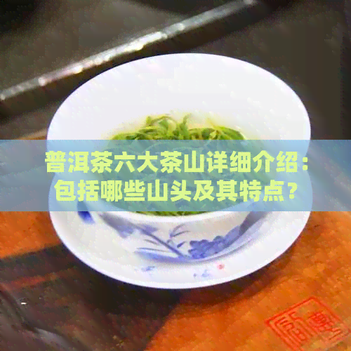 普洱茶六大茶山详细介绍：包括哪些山头及其特点？