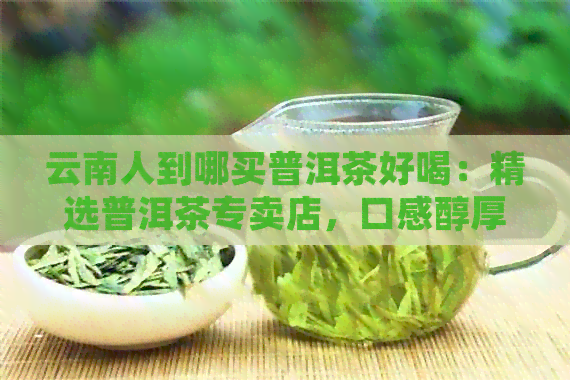 云南人到哪买普洱茶好喝：精选普洱茶专卖店，口感醇厚，回味悠长。