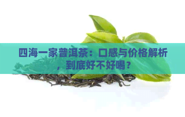 四海一家普洱茶：口感与价格解析，到底好不好喝？