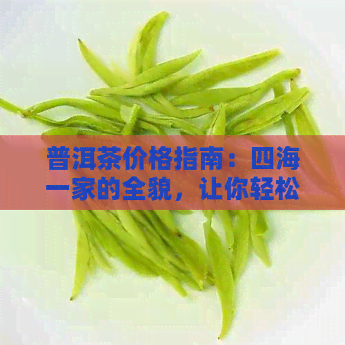 普洱茶价格指南：四海一家的全貌，让你轻松了解各地区及种类的价格