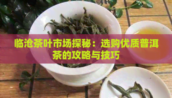 临沧茶叶市场探秘：选购优质普洱茶的攻略与技巧