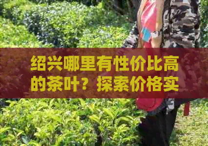 绍兴哪里有性价比高的茶叶？探索价格实且品质优良的茶店推荐