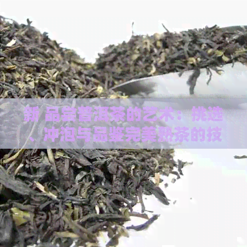 新 品尝普洱茶的艺术：挑选、冲泡与品鉴完美熟茶的技巧