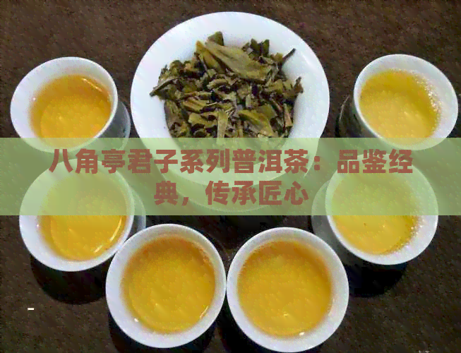 八角亭君子系列普洱茶：品鉴经典，传承匠心