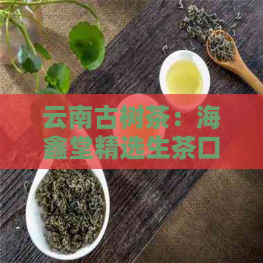 云南古树茶：海鑫堂精选生茶口感独特，价格实，京东独家热卖