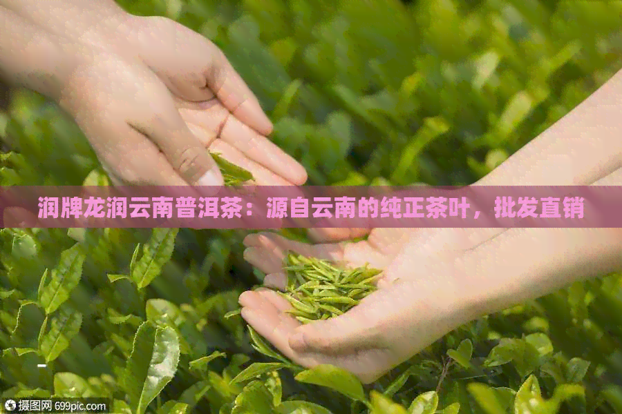 润牌龙润云南普洱茶：源自云南的纯正茶叶，批发直销