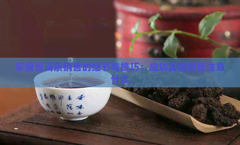 掌握普洱茶销售的细节与技巧：成功卖茶需要注意什么