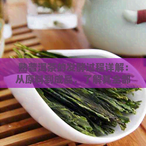 熟普洱茶的发酵过程详解：从原料到成品，了解其全部演变与影响因素