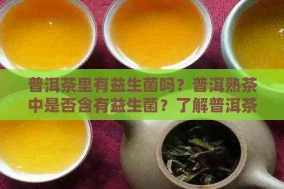 普洱茶里有益生菌吗？普洱熟茶中是否含有益生菌？了解普洱茶的微生物成分。