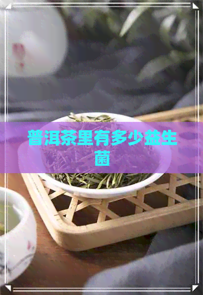 普洱茶里有多少益生菌