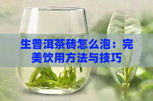 生普洱茶砖怎么泡：完美饮用方法与技巧