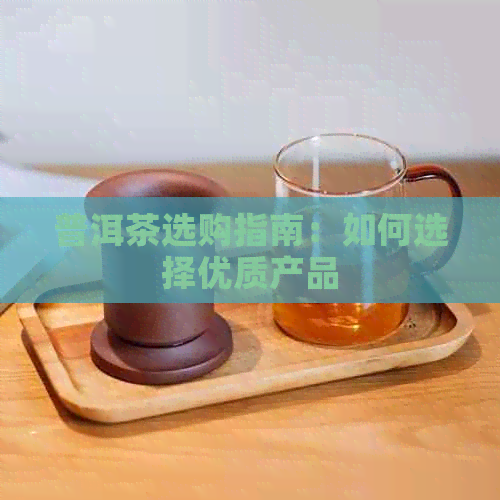 普洱茶选购指南：如何选择优质产品