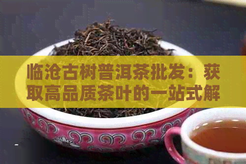 临沧古树普洱茶批发：获取高品质茶叶的一站式解决方案及价格指南