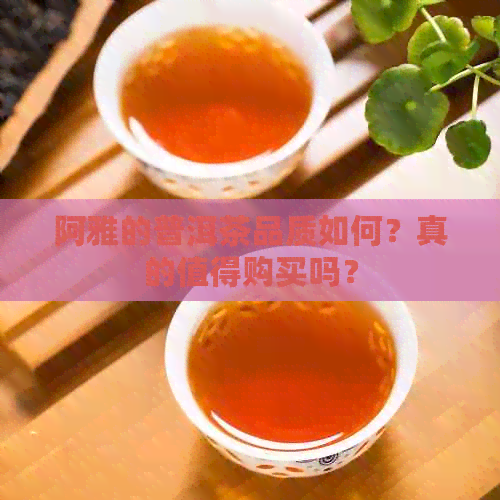 阿雅的普洱茶品质如何？真的值得购买吗？