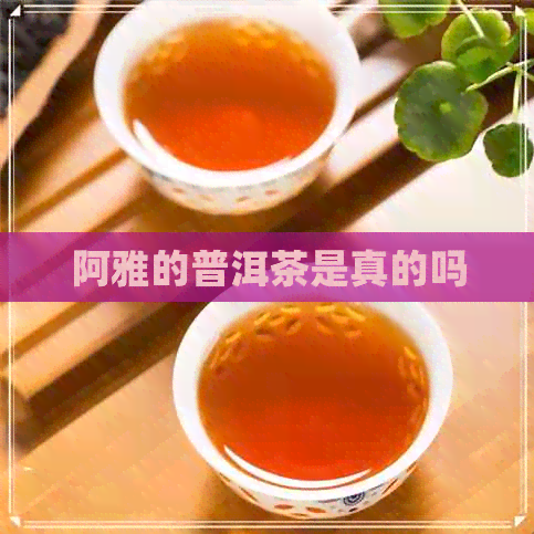 阿雅的普洱茶是真的吗