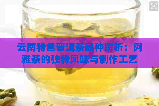 云南特色普洱茶品种解析：阿雅茶的独特风味与制作工艺