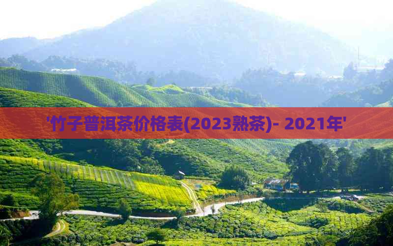 '竹子普洱茶价格表(2023熟茶)- 2021年'