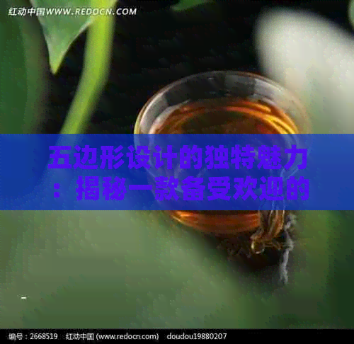 五边形设计的独特魅力：揭秘一款备受欢迎的服装