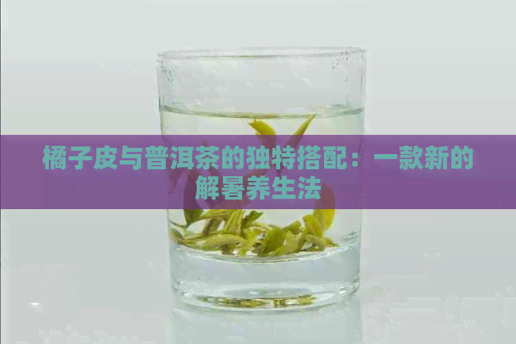 橘子皮与普洱茶的独特搭配：一款新的解暑养生法