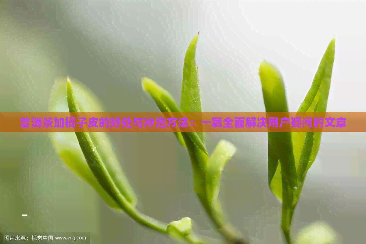 普洱茶加橘子皮的好处与冲泡方法：一篇全面解决用户疑问的文章