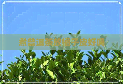 煮普洱茶放橘子皮好吗