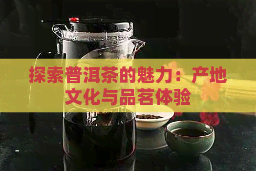 探索普洱茶的魅力：产地文化与品茗体验