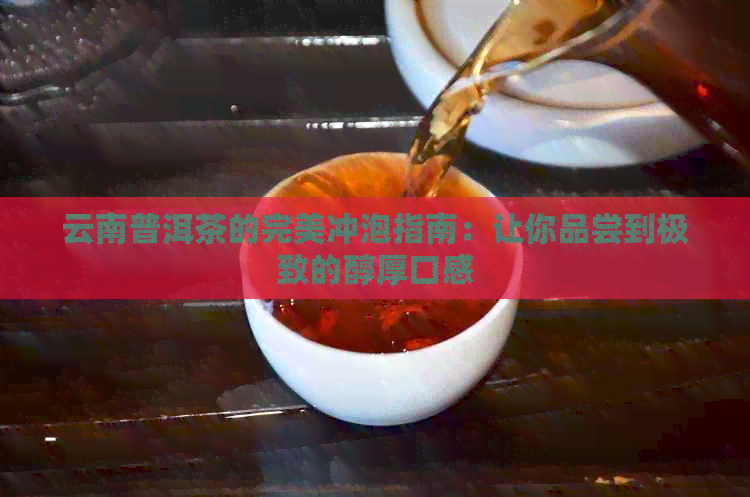 云南普洱茶的完美冲泡指南：让你品尝到极致的醇厚口感