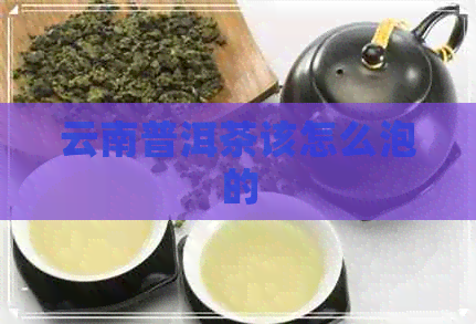 云南普洱茶该怎么泡的