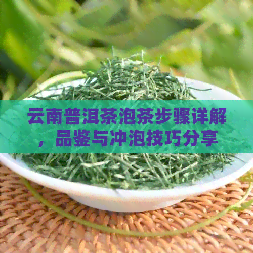 云南普洱茶泡茶步骤详解，品鉴与冲泡技巧分享