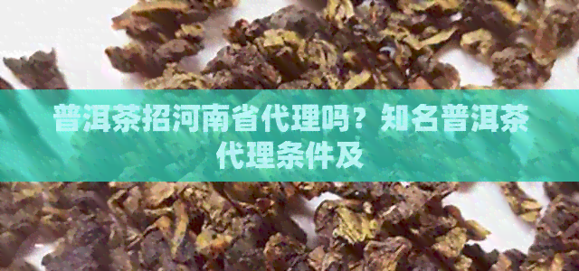 普洱茶招河南省代理吗？知名普洱茶代理条件及